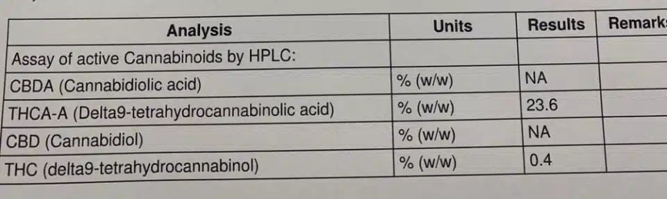 דוגמה לבדיקת מעבדה THC